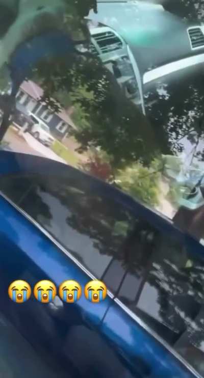 &ldquo;Honkhia pork rail has turned Queensha into a car accessory!&rdquo; Me asf: