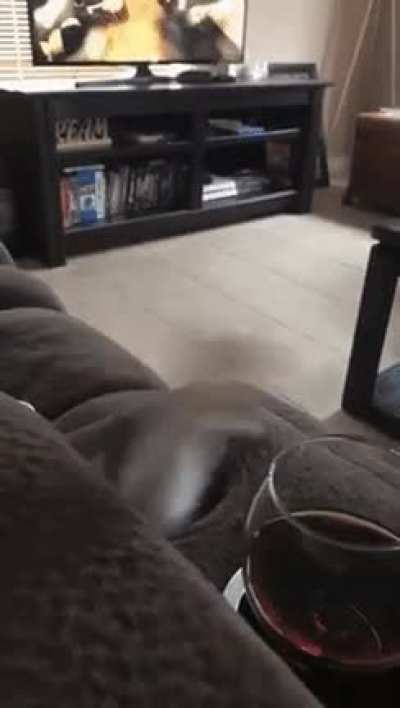 Sneaky paws