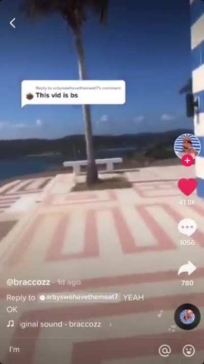 Tiktoker infiltrates Epstein&rsquo;s Island on foot