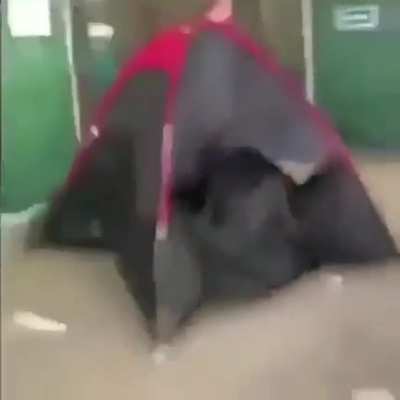 Barraca ambulante fds