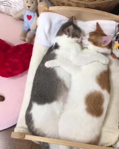 "We can both be little spoon"