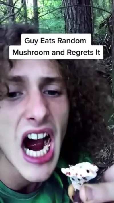 Don&rsquo;t eat mushrooms in the forest