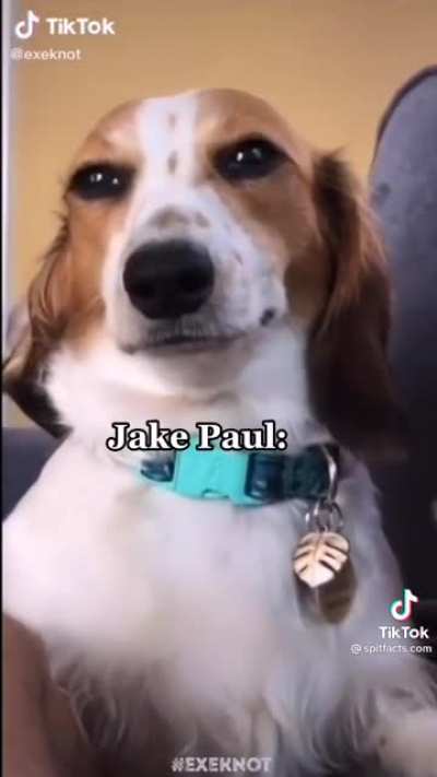 Bruh