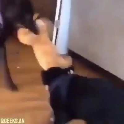 Hey gu-