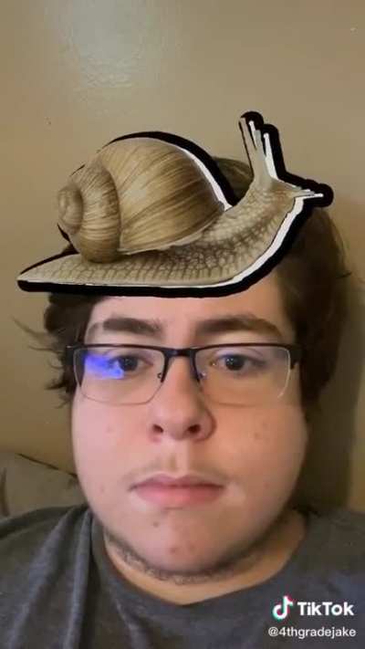 Snail