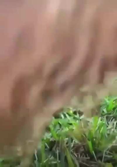 Злободневное...