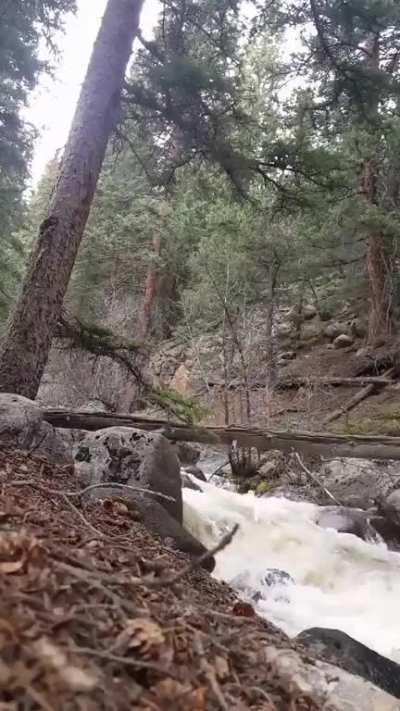 HMFT after doing artsy yoga