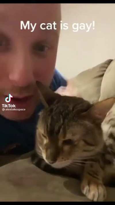tHe cAt cAmE oUt!!