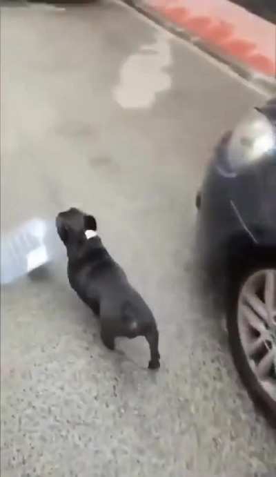 Eu🫠Nvr