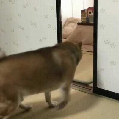 "Do your job human, FILL IT"
