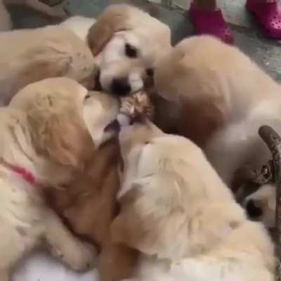 "We love you"