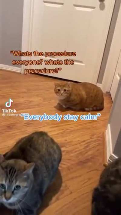 what&rsquo;s the procedure everyone??