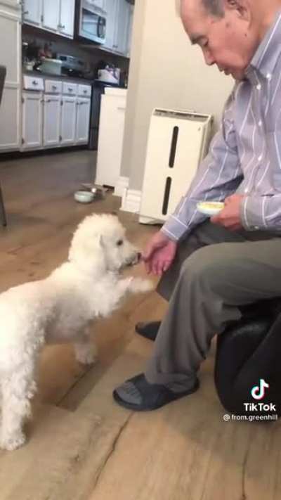 Found on tiktok