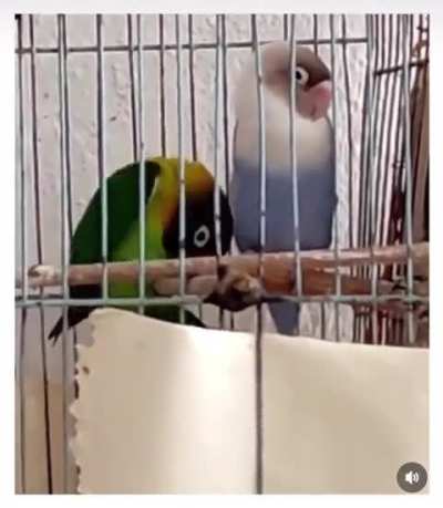 Qualquer semelhan&ccedil;a &eacute; mera coincid&ecirc;ncia