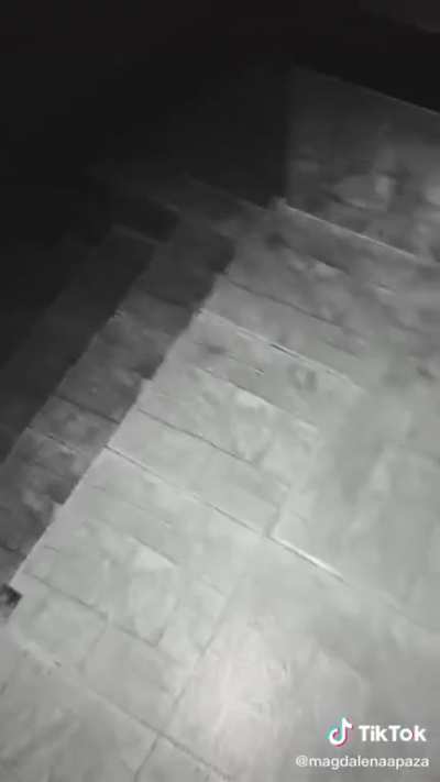 Eita