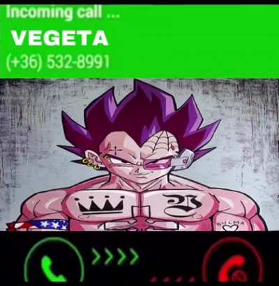 bulma temporary vegeta forever