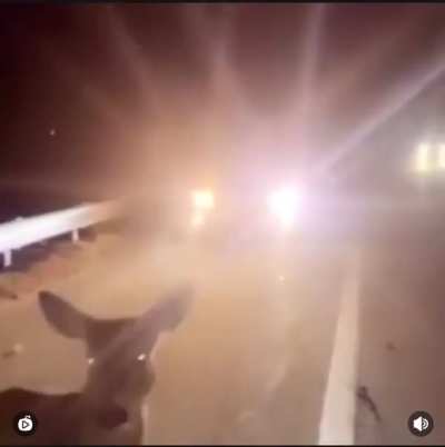 Can&rsquo;t even jump over a median right!