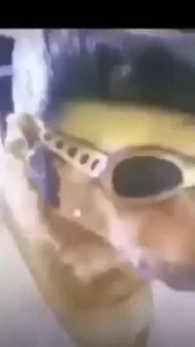 i swear if i see a u/savevideo on this comment section....... 2!!!!!!!!?!!! 
