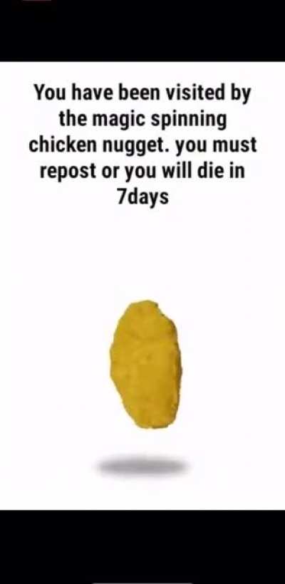 (Hol up style title)