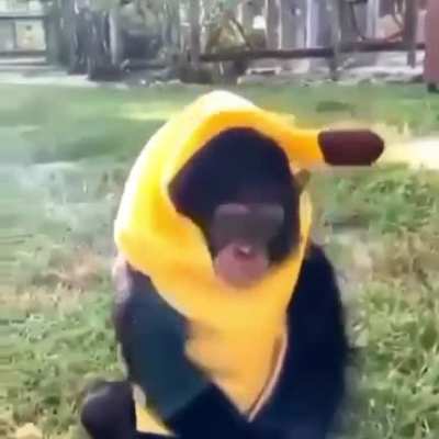 😎 Where Banana