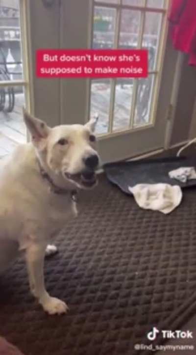 Dog thinks he&rsquo;s barking