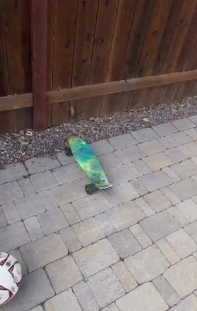 Error 404
