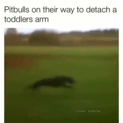 Dudhd