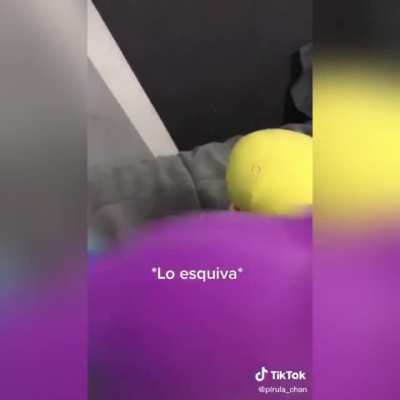 Gente, aqu&iacute; el anime completo y trailer segunda temporada, yo no soy el que hago los videos, pero pueden verlos todos y apoyarlos en la cuenta de tik tok de: pirula_chan