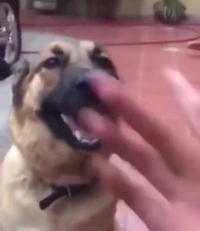 hey, gtfo of here