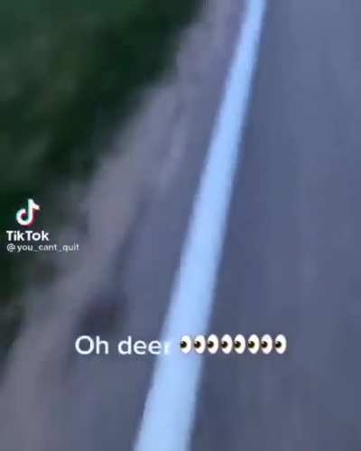 oh deer