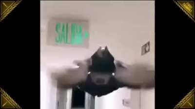 Punishing Bird