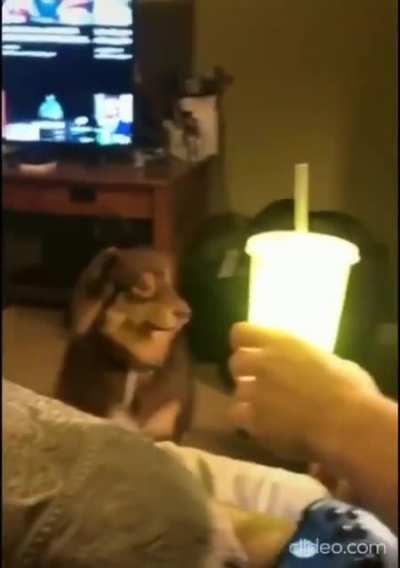 He&rsquo;s seen the light
