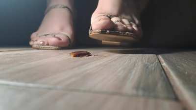 Goddess versus insect - pt. 3, collapsing between the floor and her sandal