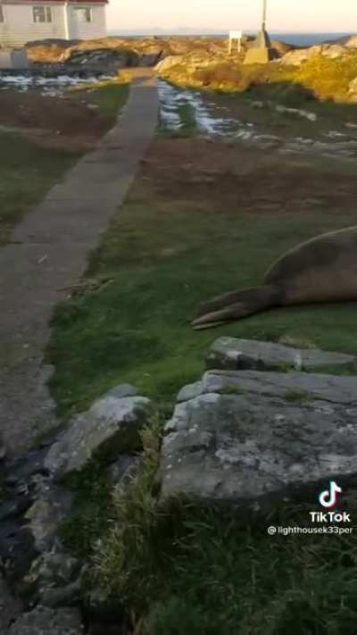 Just another day as a lighthouse keeper&hellip;