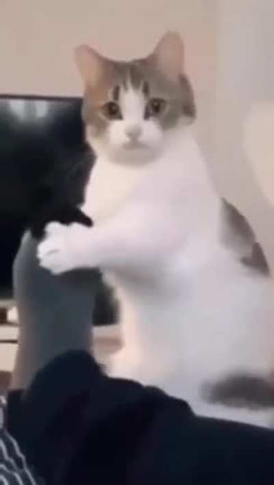Why