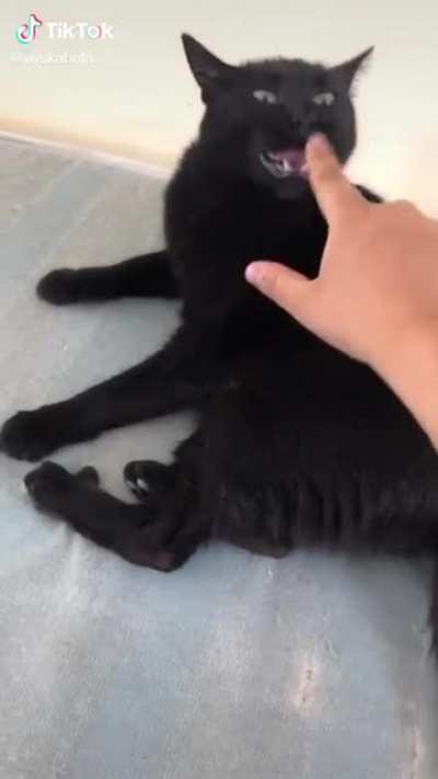 Shake it baby