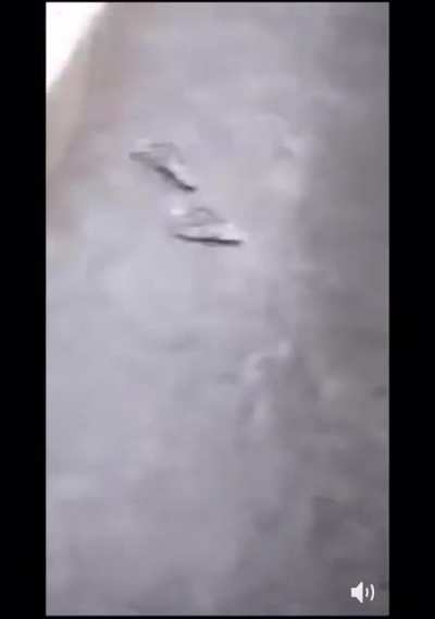 Man hits his head diving into pool