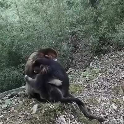Сынка! Тятька!