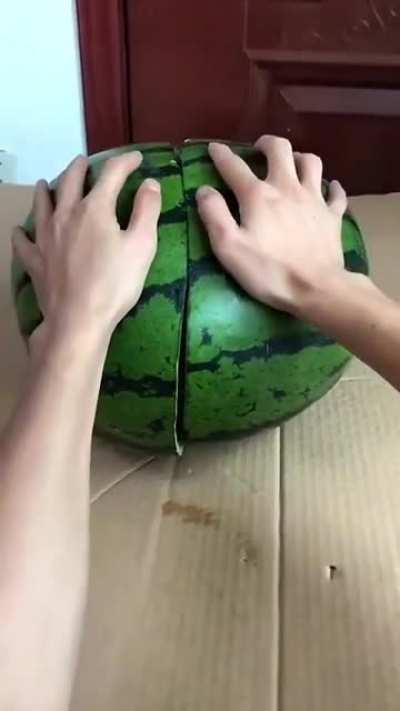 New watermelon lootbox item: you can get anything from a basic apple to a pet dragon! I got a rare wolf