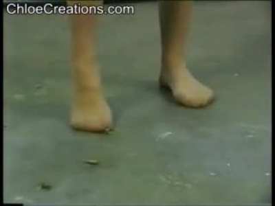 Crickonthegrond 2