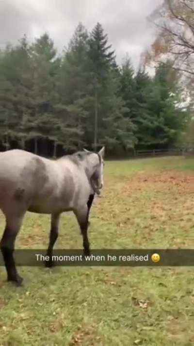 Maybe maybe maybe