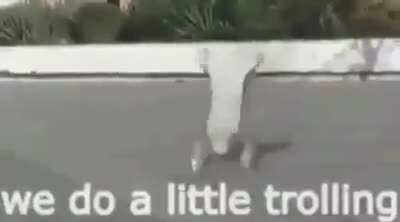 Trolling peque&ntilde;o