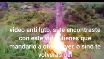 Viva cristo rey