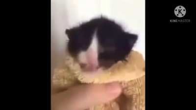 No pregunten el trabajo que me costo...