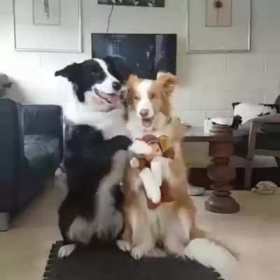 Family picture!