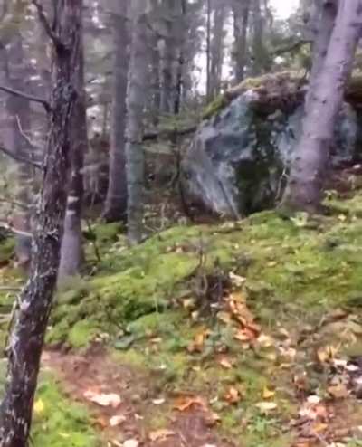Cursed_ground