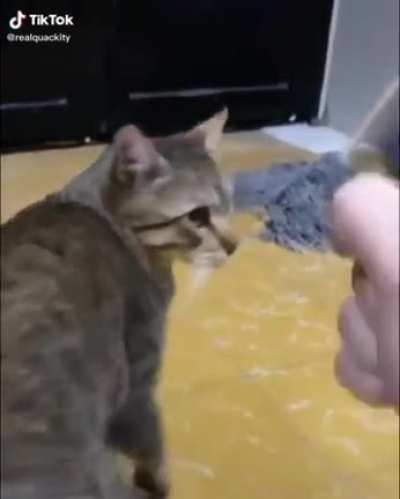 Rock,paper,scissors