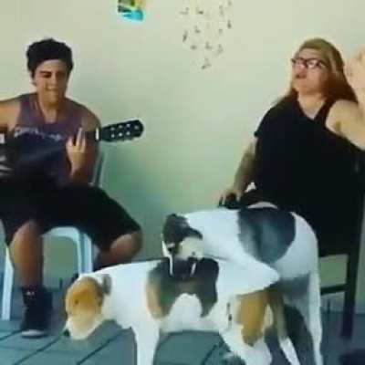Perdi KKKKKKKKKK