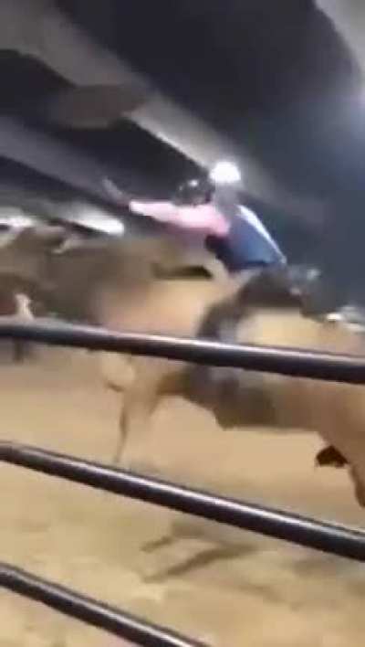 WCGW Everybody knows Giorgio