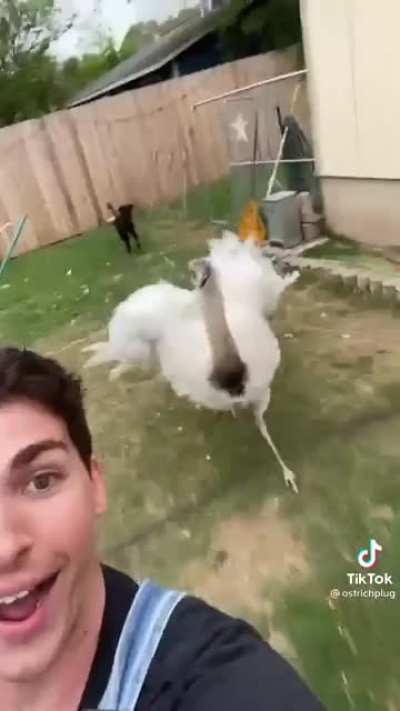 Don&rsquo;t smack Kevin :(